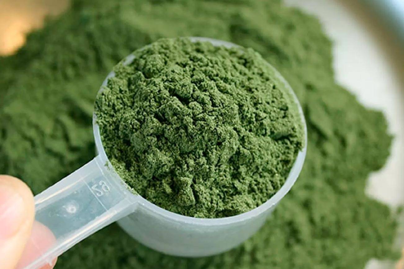 Green Malay Kratom Your Complete User's Manual