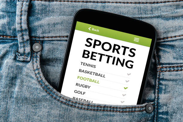 The Top Features of Indibet for Online Gamblers